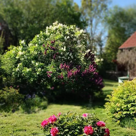 Apartamento Ferienwohnung Rubitz *