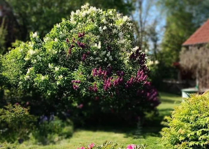 아파트 Ferienwohnung Rubitz *